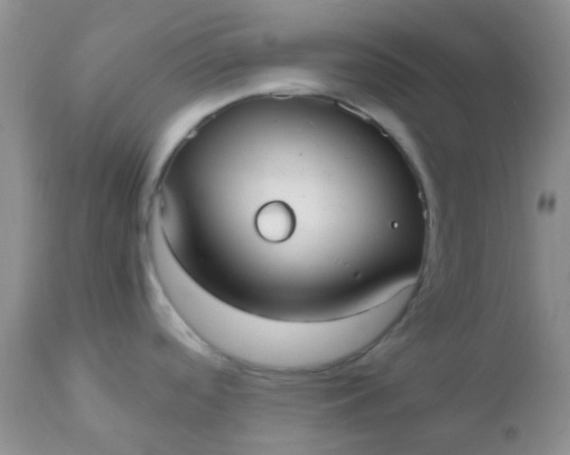 X0000110951488200907022144