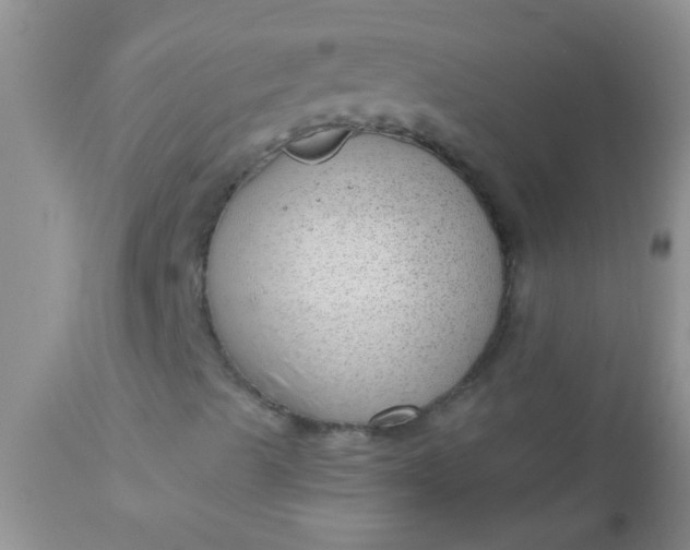 X0000110951489200907022144