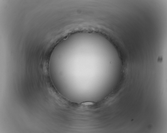 X0000110951490200907022144