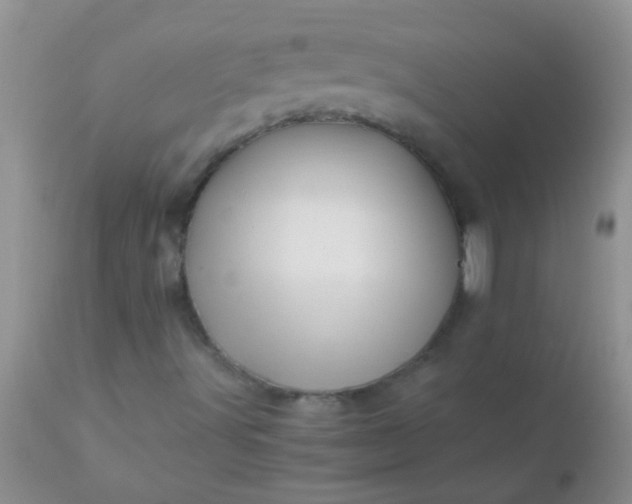 X0000110951491200907022144