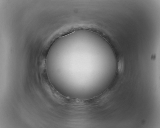 X0000110951492200907022144