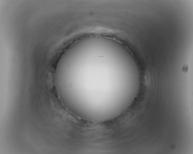 X0000110951493200907022144