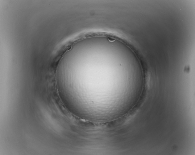 X0000110951494200907022144