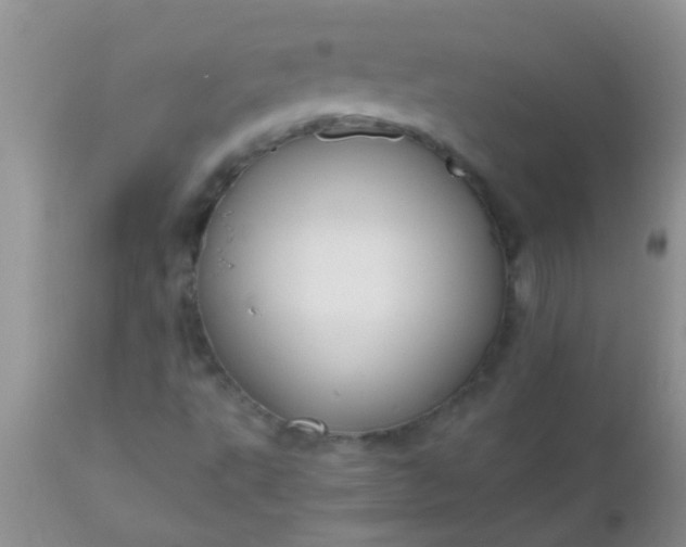 X0000110951495200907022144