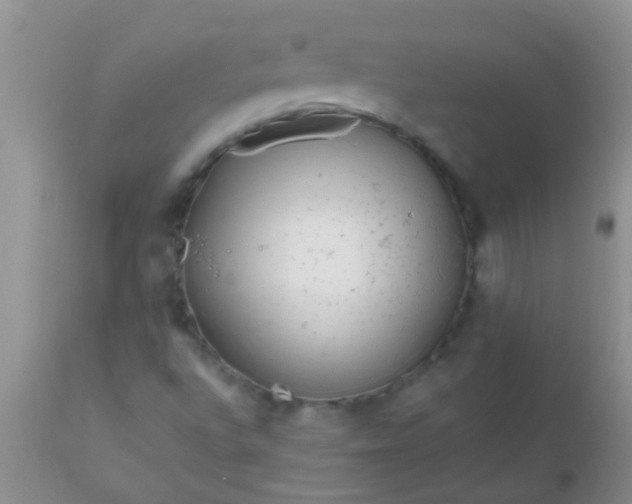 X0000110951496200907022144