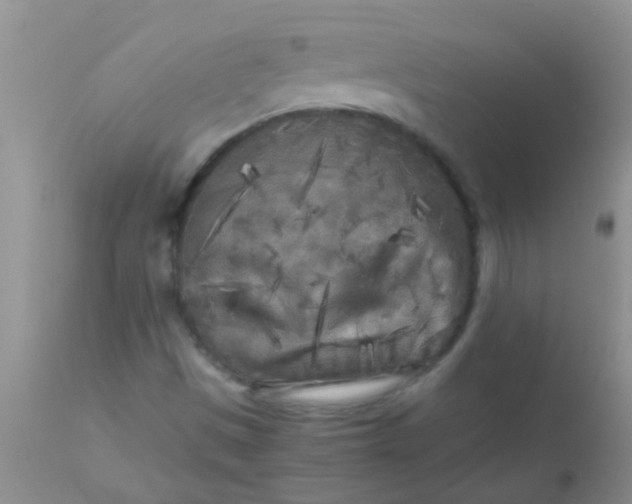 X0000110951497200907022144