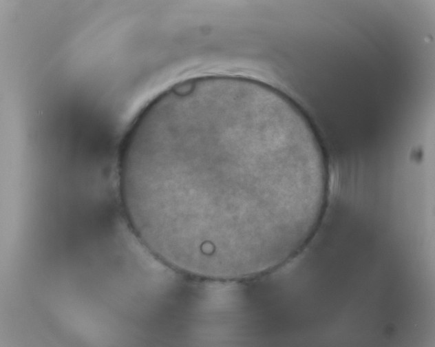 X0000110951498200907022144