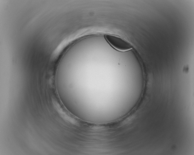 X0000110951499200907022144