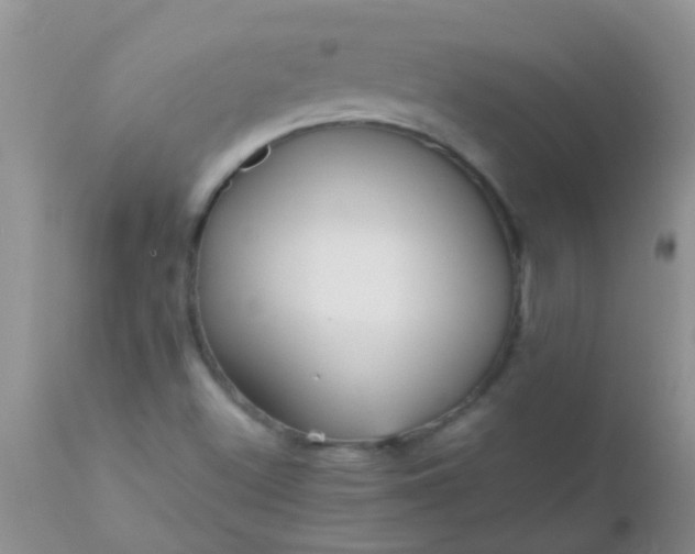 X0000110951500200907022144