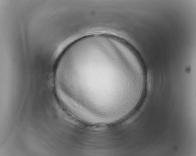 X0000110951501200907022144