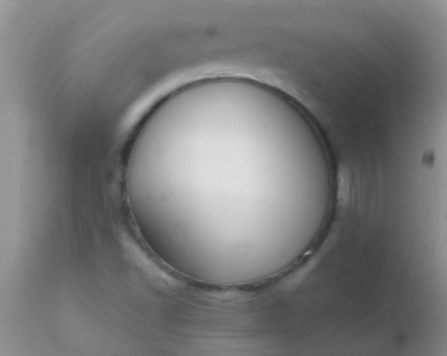 X0000110951502200907022144