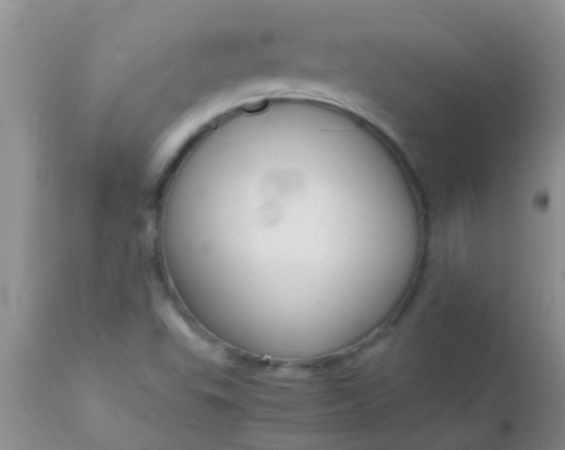 X0000110951503200907022144