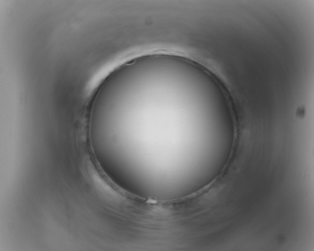 X0000110951504200907022144