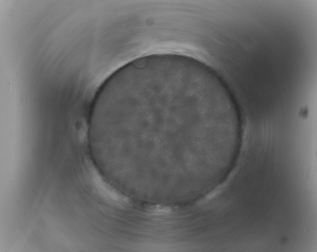 X0000110951505200907022144