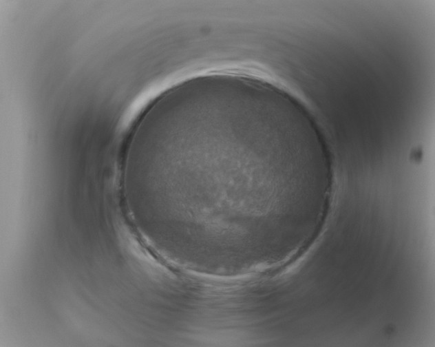 X0000110951506200907022144