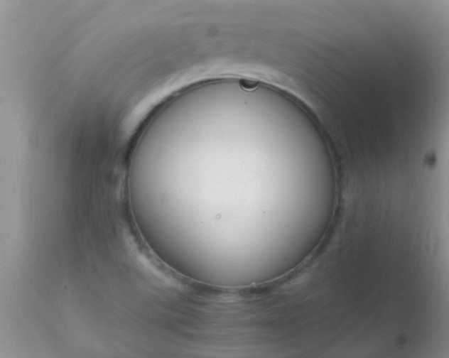 X0000110951507200907022144