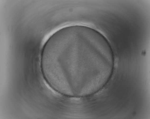 X0000110951508200907022144