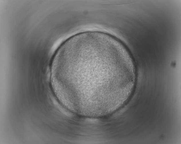 X0000110951509200907022144