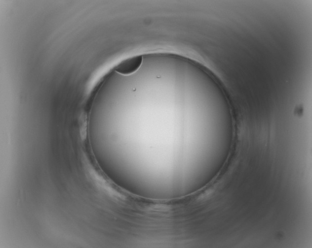 X0000110951510200907022144