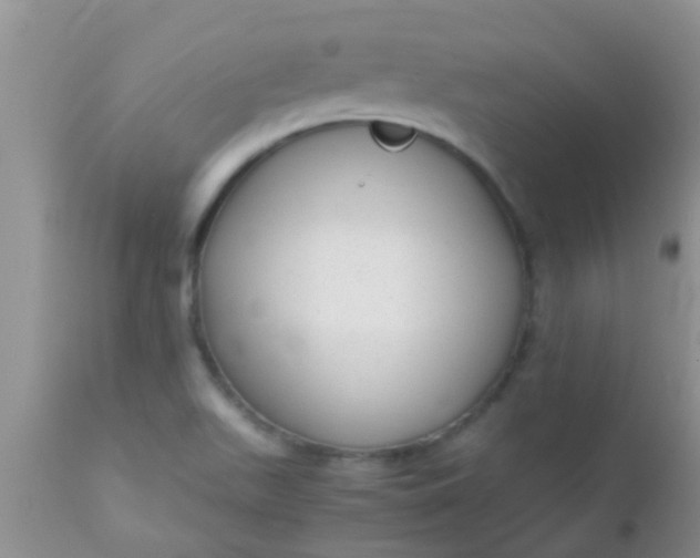 X0000110951511200907022144