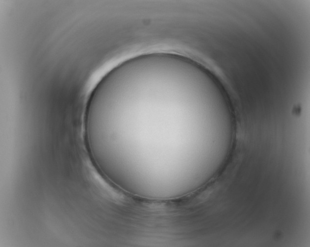 X0000110951512200907022144