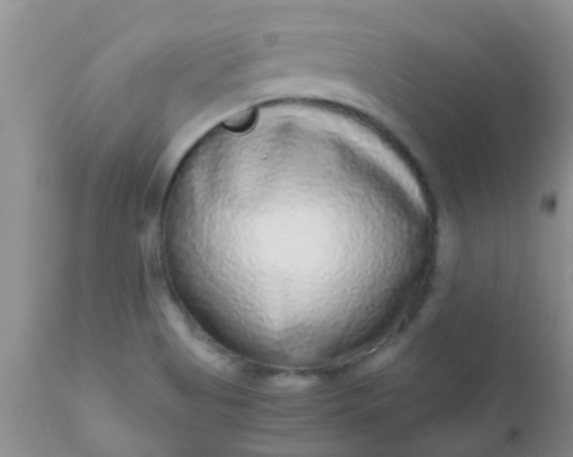 X0000110951513200907022144