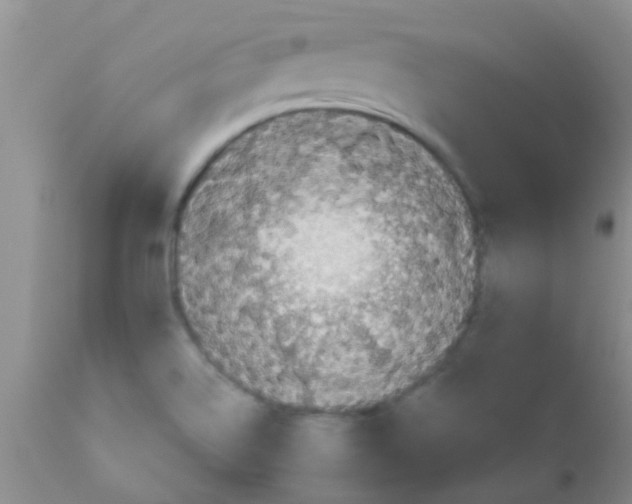 X0000110951514200907022144