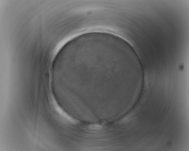 X0000110951515200907022144