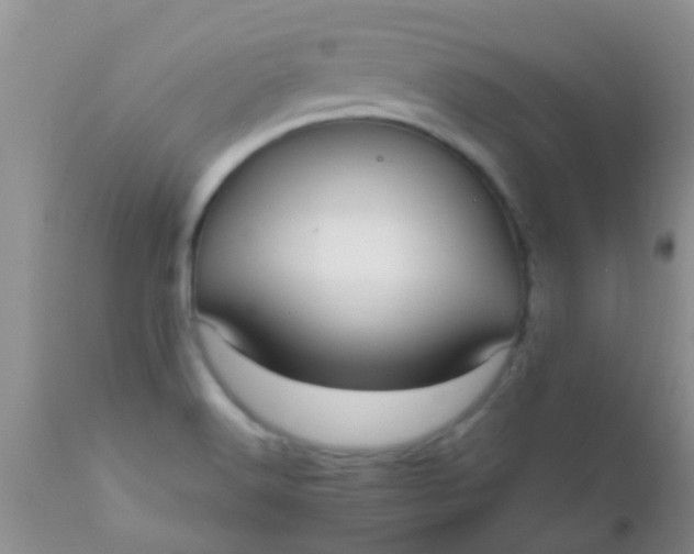 X0000110951516200907022144