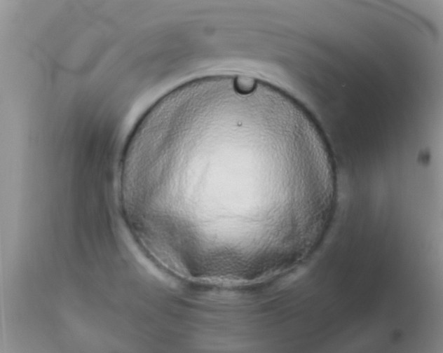 X0000110951517200907022144