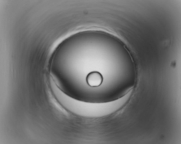 X0000110951518200907022144