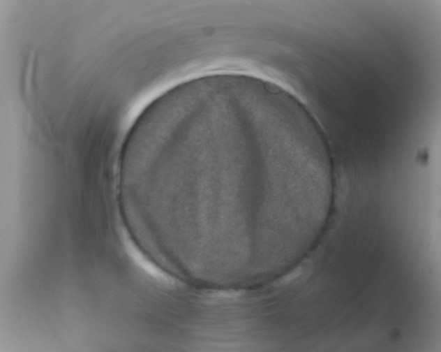 X0000110951519200907022144