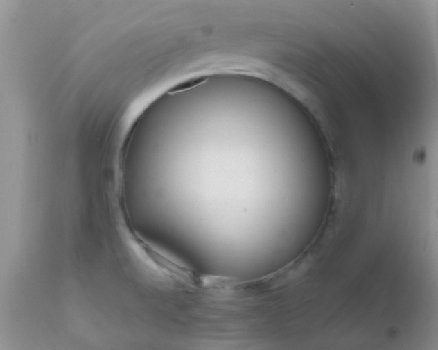 X0000110951520200907022144