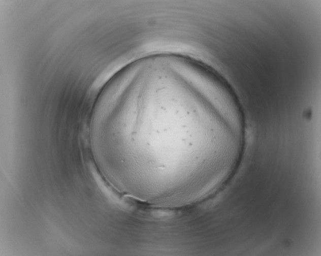 X0000110951521200907022144