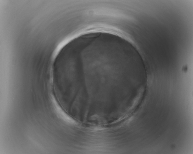 X0000110951522200907022144