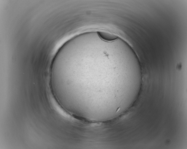 X0000110951523200907022144