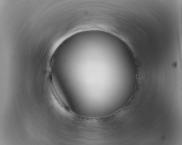 X0000110951524200907022144