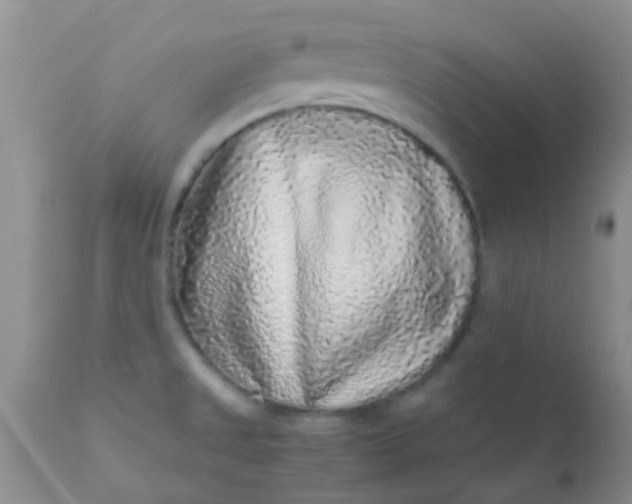 X0000110951525200907022144