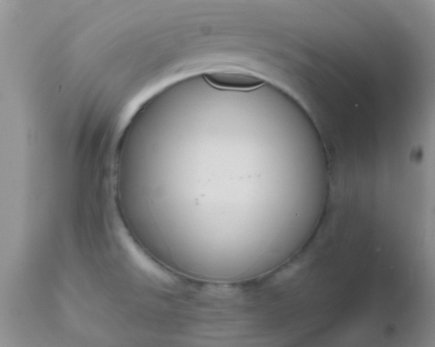 X0000110951526200907022144