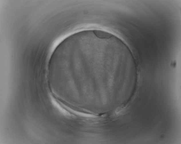 X0000110951527200907022144