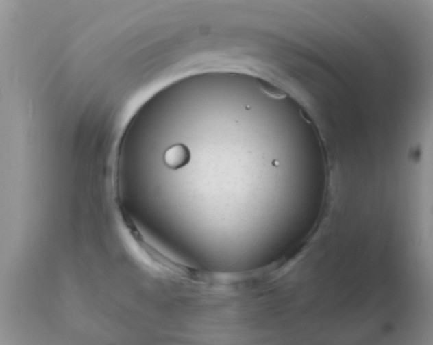 X0000110951528200907022144