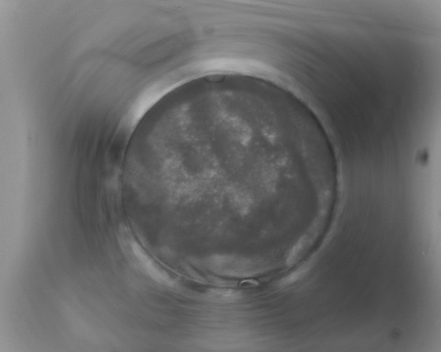 X0000110951529200907022144