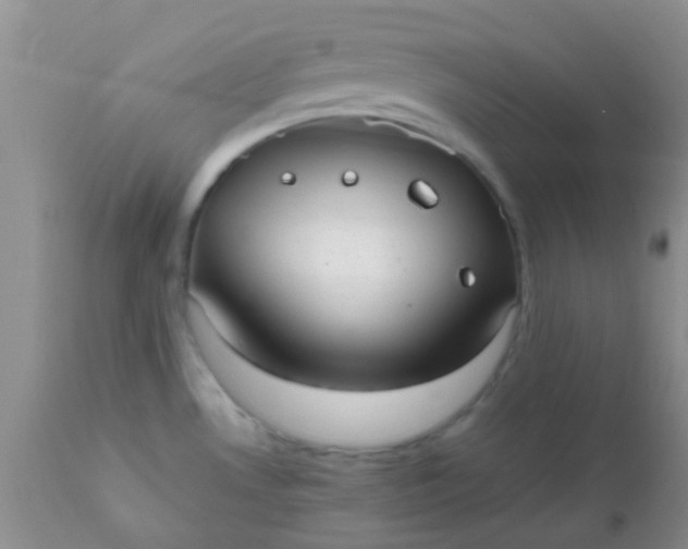 X0000110951530200907022144