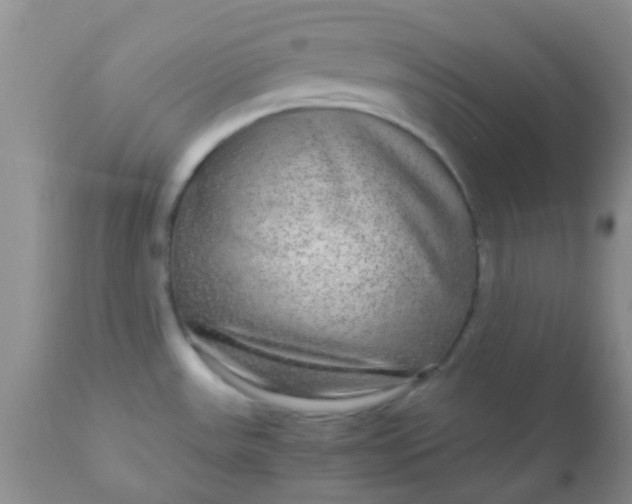 X0000110951531200907022144