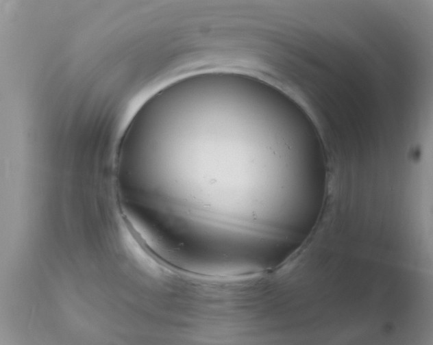 X0000110951532200907022144