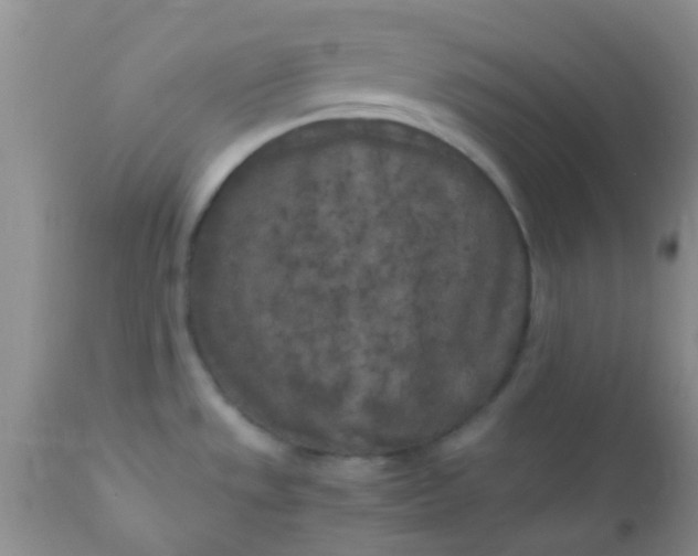 X0000110951533200907022144