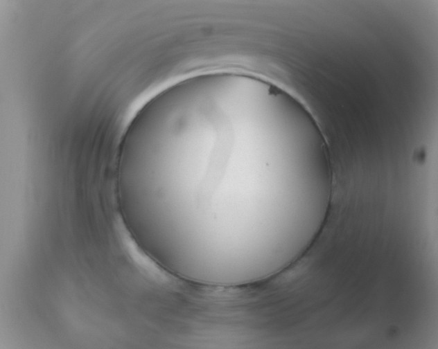 X0000110951534200907022144