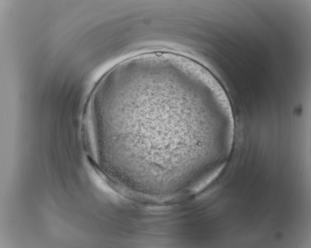 X0000110951535200907022144