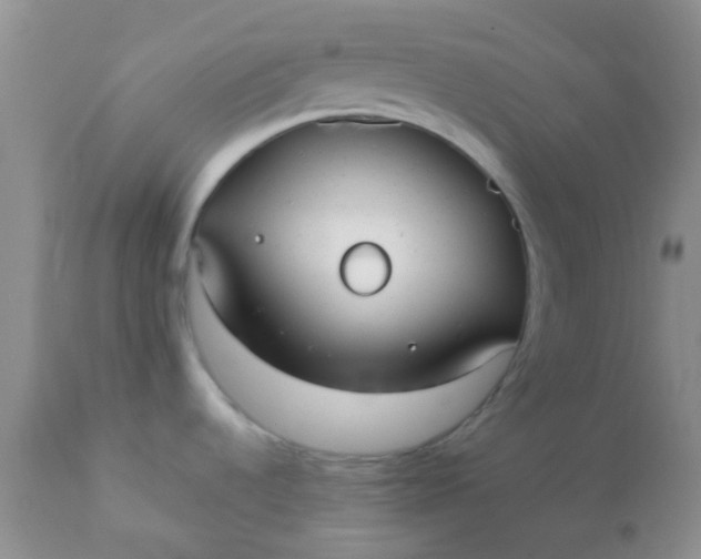 X0000110951536200907022144