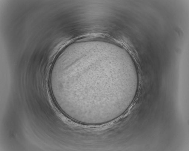 X0000110950001200907101316
